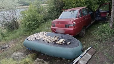 нерест це