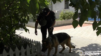 Повідомлення про замінування миколаївського салону краси не підтвердилось Повідомлення про замінування миколаївського салону краси не підтвердилось