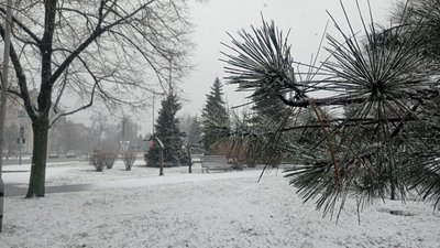 Погода на 9 лютого у Запоріжжі