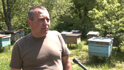 По сусідству з хижаками: що відбувається в прикарпатських селах, де фіксують напади ведмедів По сусідству з хижаками: що відбувається в прикарпатських селах, де фіксують напади ведмедів
