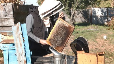Родина бджолярів продовжила справу на Черкащині Родина бджолярів продовжила справу на Черкащині