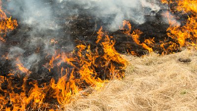 
Пожежа у Чернігові: згоріло сіно