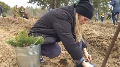 Новому лісу бути. У Миколаєві жителі мікрорайону висадили 2000 саджанців сосни Новому лісу бути. У Миколаєві жителі мікрорайону висадили 2000 саджанців сосни
