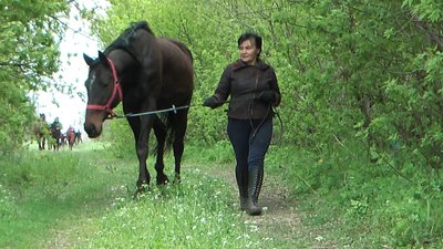 Коні авдіївка Коні авдіївка