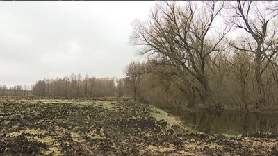На Сумщині розорюють прибережну захисну смугу: поліція відкрила провадження