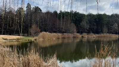 Заказник «Червонохуторські озера» у Києві