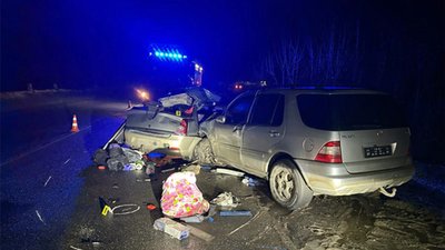 Поліцейські встановлюють обставини ДТП, внаслідок якої загинуло подружжя із Запоріжжя