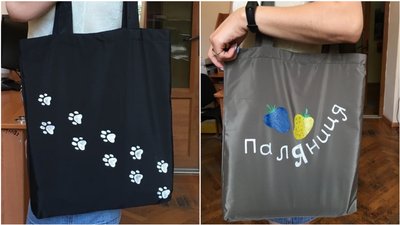 У Кропивницькому влаштували благодійну акцію на підтримку безпритульних тварин