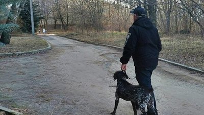 Поліцейський з Дніпра врятував з-під обстрілів на Херсонщині собаку та забрав у свою родину