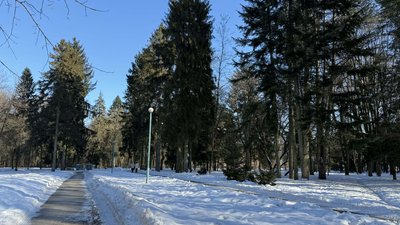 Зима у дендропарку "Поділля"