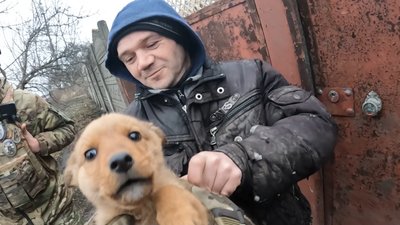 "Білий Янгол" та волонтери вивезли двох цуценят, яких залишили господарі у селі на Донеччині за два кілометри від фронту