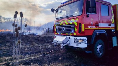 За добу на Тернопільщині вигоріло понад 3 гектари землі
