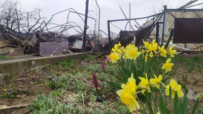 Баштанка — місто, що встояло. Чим живе районний центр на Миколаївщині після масивних обстрілів Баштанка — місто, що встояло. Чим живе районний центр на Миколаївщині після масивних обстрілів