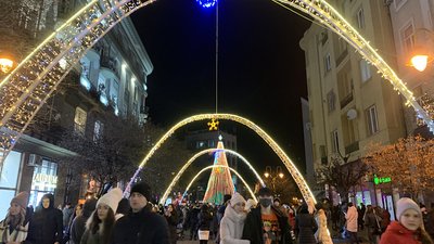 В Івано-Франківську засвітили головну ялинку В Івано-Франківську засвітили головну ялинку