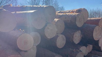 На Житомирщині за добу у двох районах затримали вантажівки з необлікованим лісом На Житомирщині за добу у двох районах затримали вантажівки з необлікованим лісом