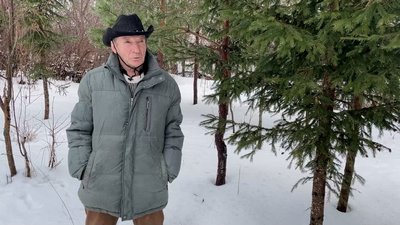 У прикордонному селі на Чернігівщині переселенець розмалював у національні кольори паркани, зупинку та іграшки У прикордонному селі на Чернігівщині переселенець розмалював у національні кольори паркани, зупинку та іграшки