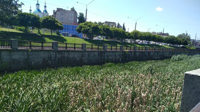 У Сумах планують розчистити частину русла річки Сумки У Сумах планують розчистити частину русла річки Сумки