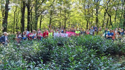 «Tea Run 2026»: у Мукачеві проведуть забіг до чайної плантації