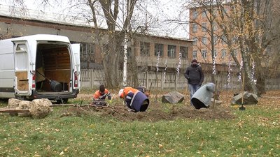 Тут висадили 5 дерев горобини Тут висадили 5 дерев горобини