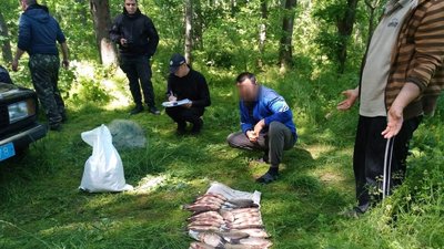 На Черкащині рибалки виловили риби майже на 80 тисяч гривень