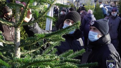 Львівські поліцейські вилучили майже 120 незаконно зрубаних ялинок