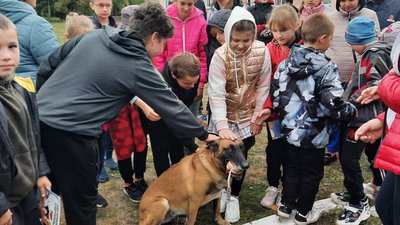 На Сумщині собака Міла рятує людей з-під завалів На Сумщині собака Міла рятує людей з-під завалів