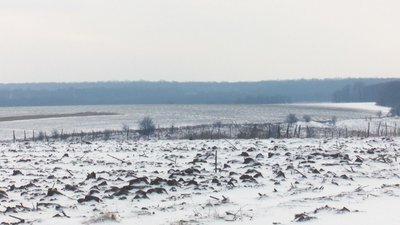 На Вінниччині господарство боргує пайовикам два мільйони гривень На Вінниччині господарство боргує пайовикам два мільйони гривень