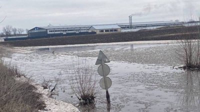Тимчасово перекриватимуть рух на дорозі Н-31 до перехрестя з трасою М-22