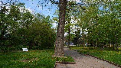На Житомирщині студенти та викладачі університету розкривають дендрологічні таємниці міського парку На Житомирщині студенти та викладачі університету розкривають дендрологічні таємниці міського парку