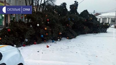 У Лебедині на Сумщині впала новорічна ялинка У Лебедині на Сумщині впала новорічна ялинка