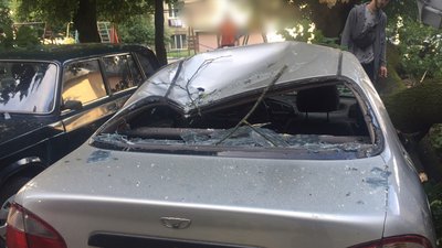 У Рівному дерево й стовп упали на кілька машин У Рівному дерево й стовп упали на кілька машин