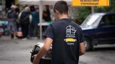 У львівській "Домівці врятованих тварин" безкоштовно стерилізуватимуть котів та собак