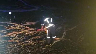 Прикарпатські рятувальники розчищали дорогу від повалених дерев