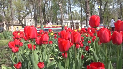 "Ліки лікують, а природа зцілює". Так вважають медики Херсонської обласної лікарні