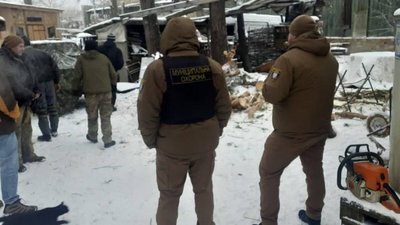 На столичному Трухановому острові незаконно вирубували дерева
