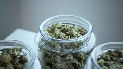 На Вінниччині працівника колонії підозрюють у продажі наркотиків засудженим