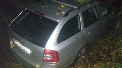 На Вінниччині на автомобіль впало дерево: водій загинув, пасажира госпіталізували