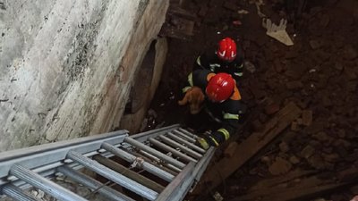 У Львові рятувальники витягнули собаку з приміщення глибиною 7 метрів У Львові рятувальники витягнули собаку з приміщення глибиною 7 метрів