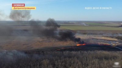 «Птахи вже сюди не прилетять». На Дніпропетровщині цьогоріч згоріло 1300 га території лісгоспів «Птахи вже сюди не прилетять». На Дніпропетровщині цьогоріч згоріло 1300 га території лісгоспів