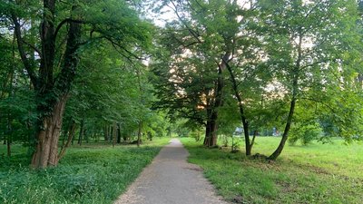 Пішохідна алея в одному з парків Хмельницького, червень 2026 року