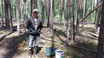 Зі зони ЧАЕС намагались вивезти понад 300 кілограмів радіоактивних ягід і грибів - поліція