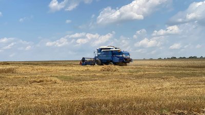 На Миколаївщині почали збір ранніх зернових. Чи вплинув дощ на врожайність На Миколаївщині почали збір ранніх зернових. Чи вплинув дощ на врожайність