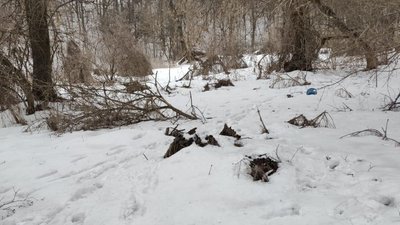 Убив дружину, а потім повісився: на Черкащині поліція встановлює обставини смертей Убив дружину, а потім повісився: на Черкащині поліція встановлює обставини смертей