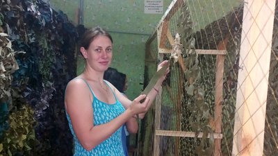 Сумські волонтери потребують допомоги у виготовленні сіток Сумські волонтери потребують допомоги у виготовленні сіток