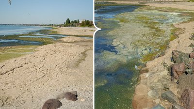Узбережжя Чорного моря в районі села Крижанівка