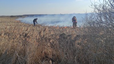 Пожежі на відкритих територіях Волині