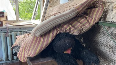 Багатодітний батько з Миколаївщини відновлює зруйнований будинок для своєї родини Багатодітний батько з Миколаївщини відновлює зруйнований будинок для своєї родини