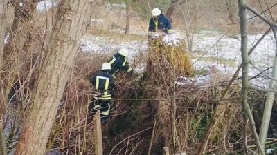 На Львівщині рятувальники витягнули з річки собаку