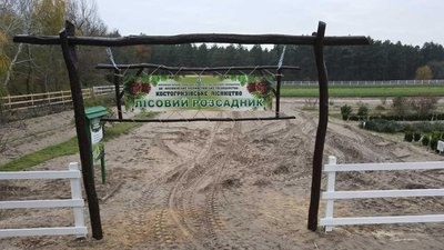 У Олешківському лісництві на Херсонщині проводять осінню лісокультурну кампанію: що це означає У Олешківському лісництві на Херсонщині проводять осінню лісокультурну кампанію: що це означає