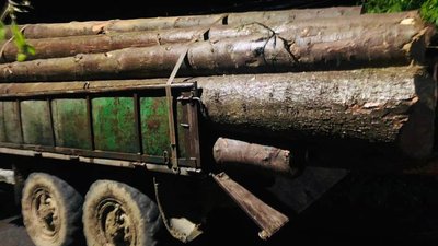Без документів. На Франківщині чоловік перевозив вантажівкою ліс Без документів. На Франківщині чоловік перевозив вантажівкою ліс